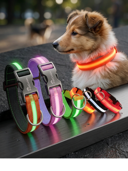 GecePati — LED Işıklı Köpek Tasması