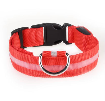 GecePati — LED Işıklı Köpek Tasması