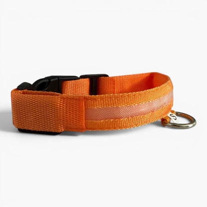 GecePati — LED Işıklı Köpek Tasması